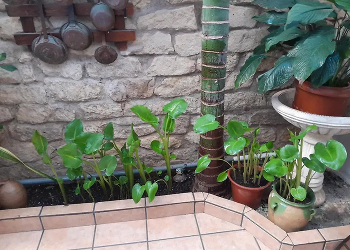 Guesthouse Alicante (PENSION CON ENCANTO)